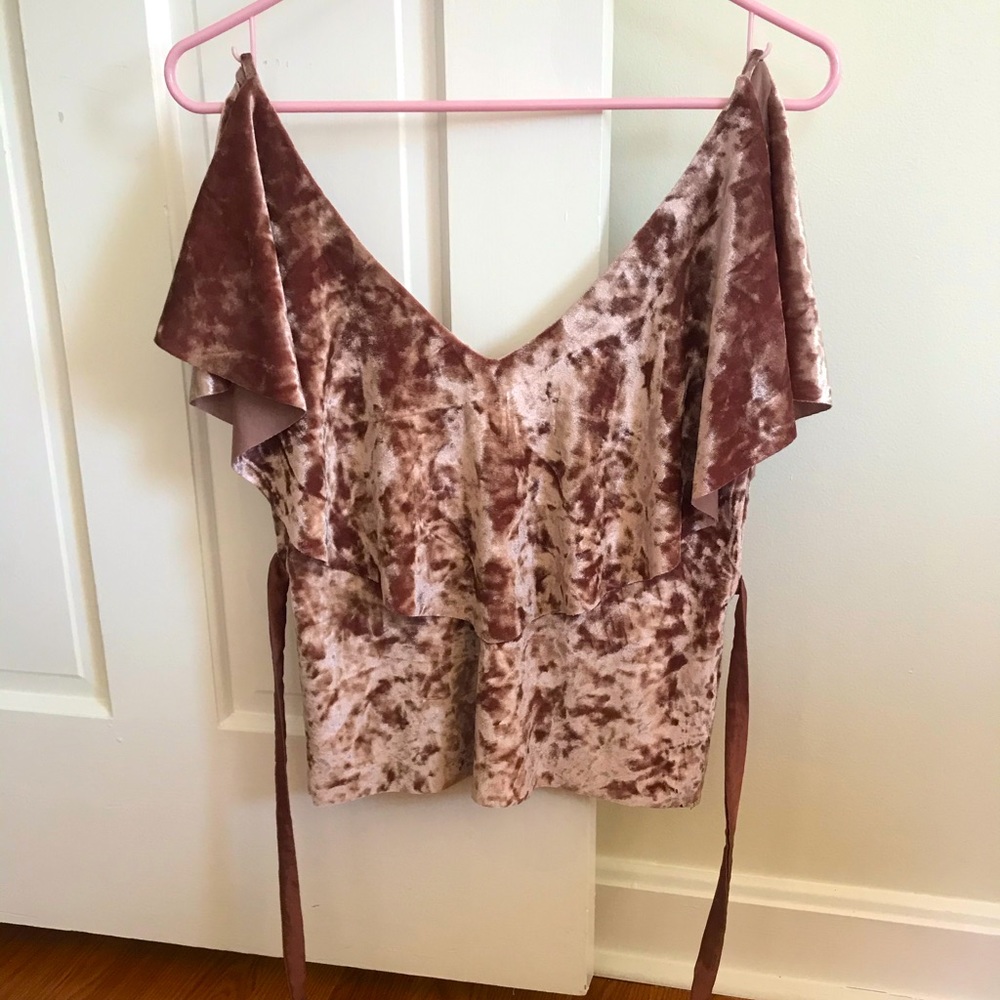 Zara Velveteen Top